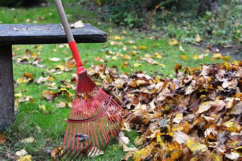 Best Rake For Leaves On Gravel 2021 - FarmTilling