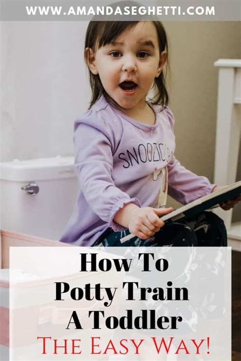 How To Potty Train A Toddler - Amanda Seghetti