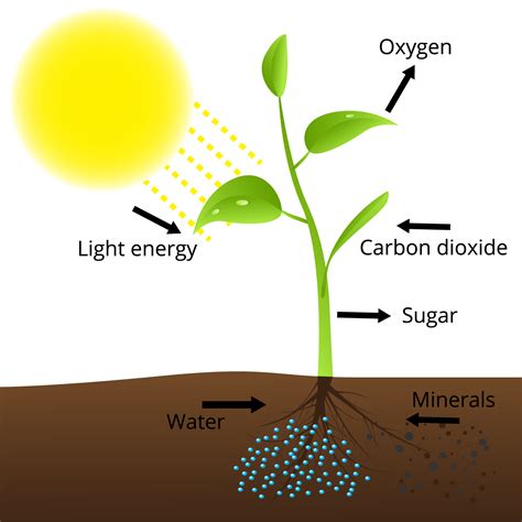 Introduction to air and its composition — lesson. Science State Board, Class 8.