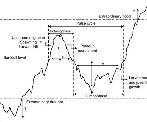 5 Representation of the pulse concept based on several attributes ...