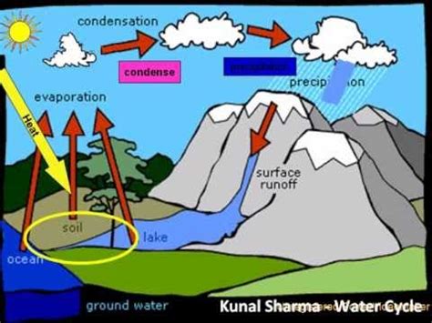 Water Cycle Diagram Youtube