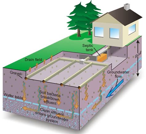 septic showing ground water flow - Bannon Engineering