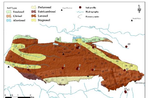 Map of Soil Types (according to Soil Mapping, 1960) with spatial ...