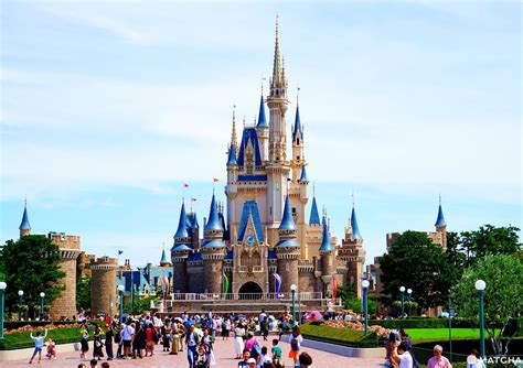 Tokyo Disneyland Summer 2019 - Shows, Food, And Shopping Guide | MATCHA - JAPAN TRAVEL WEB MAGAZINE