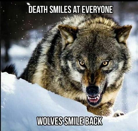 Good Lone Wolf Quotes