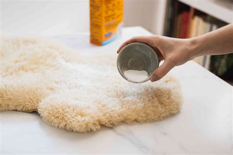 How to Clean a Sheepskin Rug