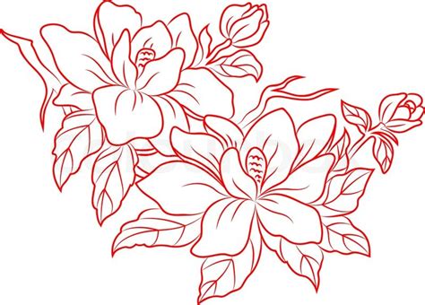 Chinese Flower Drawing at GetDrawings | Free download