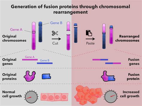 Scientists Focus on Fusion Proteins in Childhood Cancers - NCI