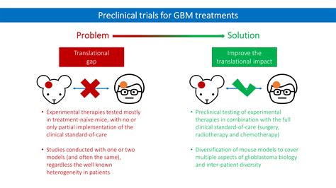 Cancers | Free Full-Text | Immunocompetent Mouse Models in the Search for Effective ...