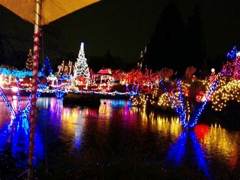 VanDusen Botanical Garden | Botanical gardens, Christmas light show, Festival lights