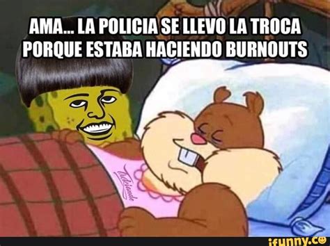 Tacuache memes. Best Collection of funny Tacuache pictures on iFunny