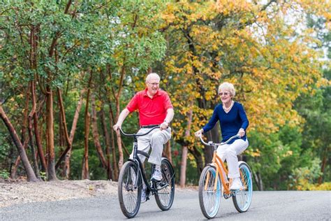 Best Elliptical Machine For Seniors - The Fitness Tribe