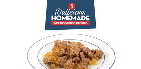 5 Best Homemade Wet Dog Food Recipes Our Dogs Loved the Most