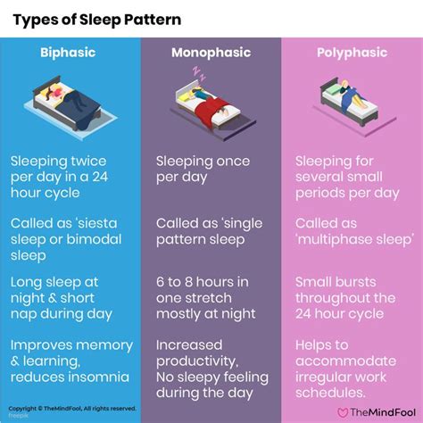 Types of Sleep Patterns | Sleep pattern, Human well being, Sleep