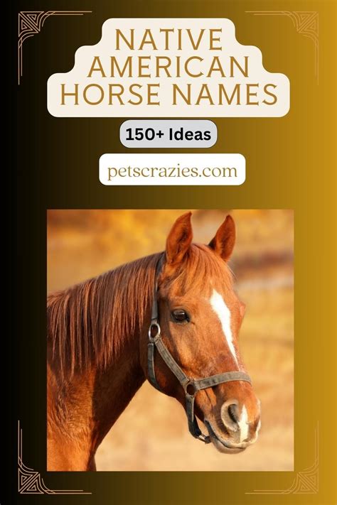 Native American Horse Names and Their Inspiration | Native american horses, Horse names, Native ...