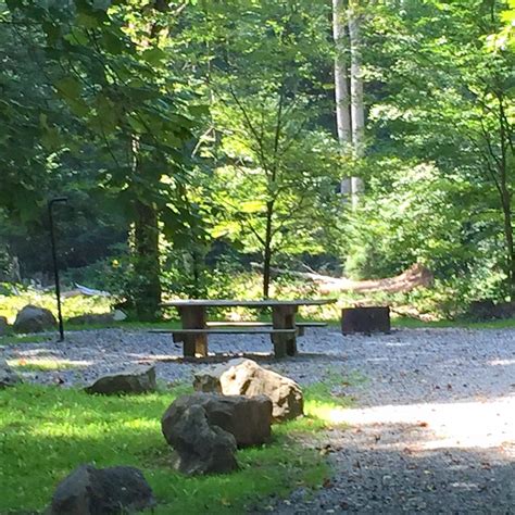 Monongahela National Forest Campgrounds - Webster County Tourism