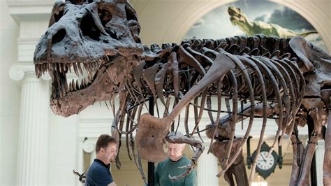 SUE the T. Rex Is Getting a Makeover | Mental Floss