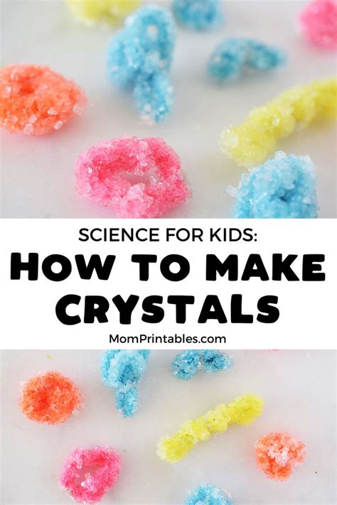 How To Grow Borax Crystals Fast For Kids Science Experiment | Diy ...