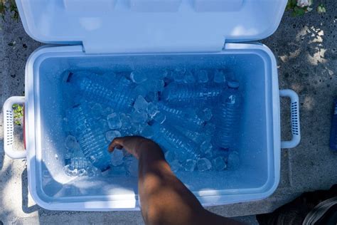 What Size Cooler Do You Need for Weekend Camping? - Techie Camper