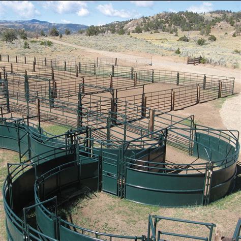 Cattle handling systems and livestock corrals http://hi-hog.com/design ...