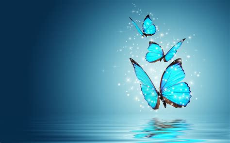 butterfly - Butterflies Wallpaper (42733737) - Fanpop