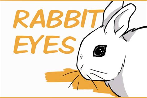 7 Fun Facts About Rabbit Eyes and 5 Problems to Look Out For