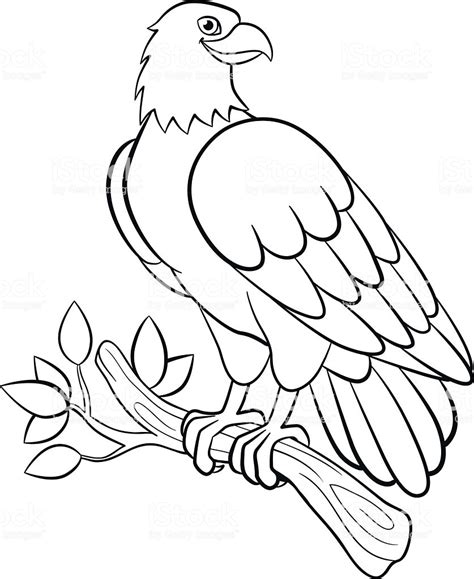 Bald Eagle Coloring Page For Kids Free