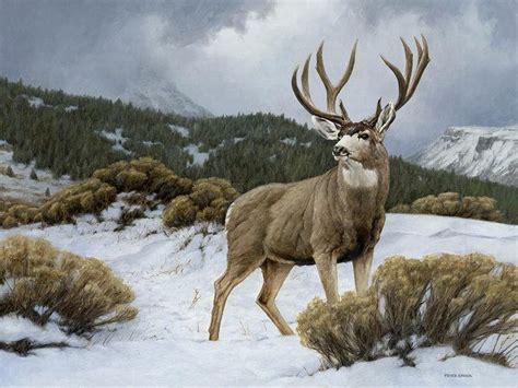 Mule Art Print featuring the painting On Alert by Peter Eades | Hunting art, Deer painting ...