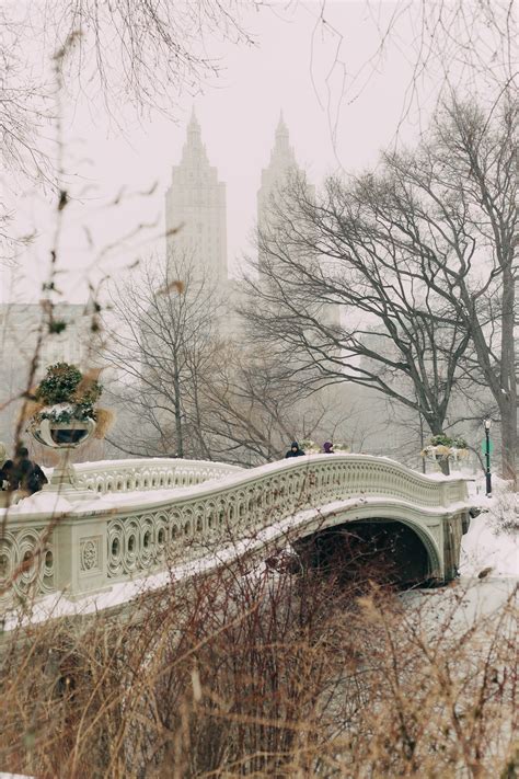 Photo Essays: Snowfall in Central Park - York Avenue