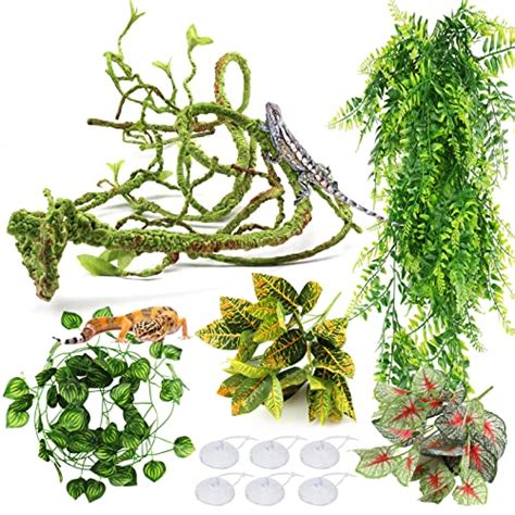 Compare Price: snake tank plants - on StatementsLtd.com