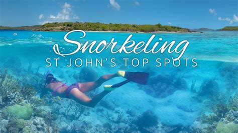 St John Snorkeling - TOP SPOTS Check out http://stjohn-beachguide.com/best-snorkeling-in-st-john ...