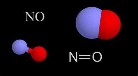 Nitric Oxide molecule | Center for Science Education