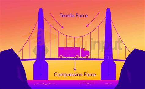 Compression Force-Definition, Effect, Uses, And Examples