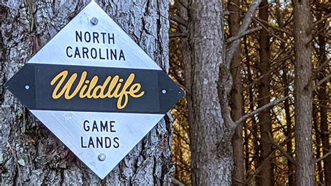 Sunday hunting on NC public game lands? - Carolina Sportsman