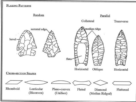 Arrowhead Types