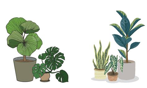 Vector Set Of Green Plants In Pots Perfect For Tree Painting Vector ...