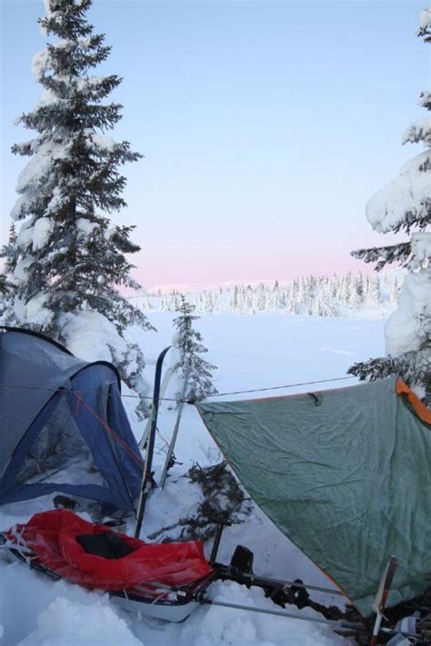 Tent vs. tarp camping in winter (and how they compare) - Gone Camping Again