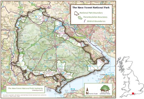 New Forest National Park Boundary Map – The World Map