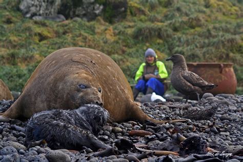 Expedition personnel - All 'sealers' past and present to have ...