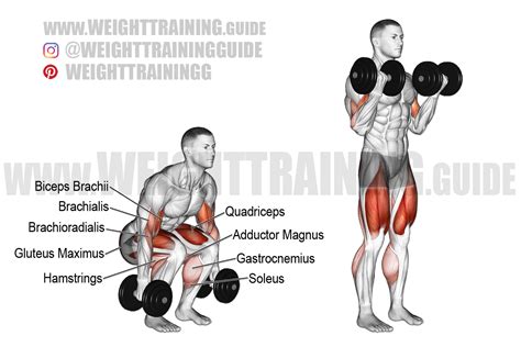 Dumbbell squat to dumbbell curl exercise instructions and video