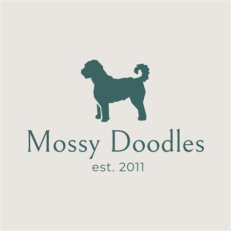 Available pups | Mossy Doodles