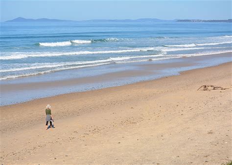 Sand scraping trial on Old Bar Beach - MidCoast Council