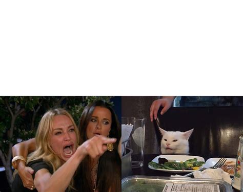 Meme Generator Woman Yelling At Cat Meme