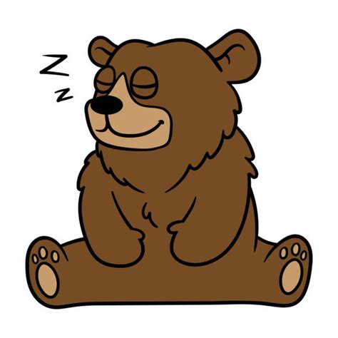 Hibernating Bear Cartoon Illustrations, Royalty-Free Vector Graphics ...