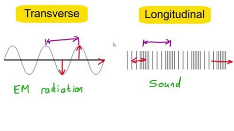 Transverse vs longitudinal waves - YouTube