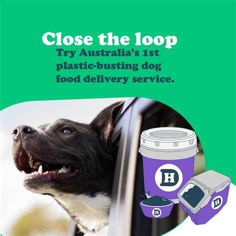 Know How to Choose the Best Dog Food Delivery Service