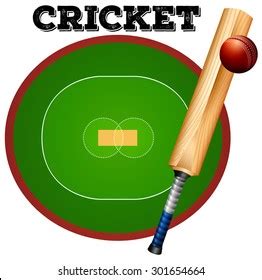 Realistic Cricket Bat Leather Ball Helmet Stock Vector (Royalty Free) 1536499634 | Shutterstock
