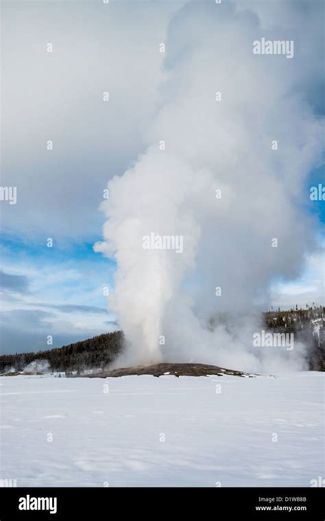 Old Faithful, Yellowstone National Park, winter Stock Photo - Alamy