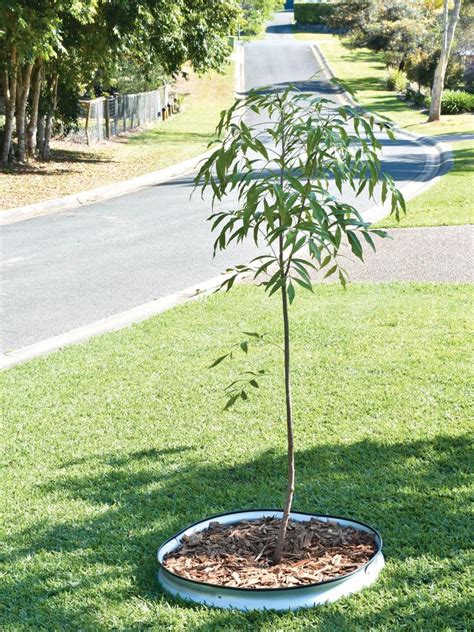 Metal Tree Surround or Round Raised Garden Bed | Gardener's Supply