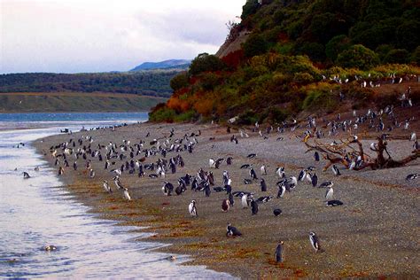 Ushuaia, Tierra Del Fuego, Argentina Cruise Port - Cruiseline.com